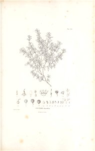 n140_w1150