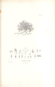 n466_w1150