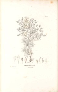 n295_w1150