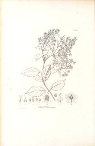 n211_w1150