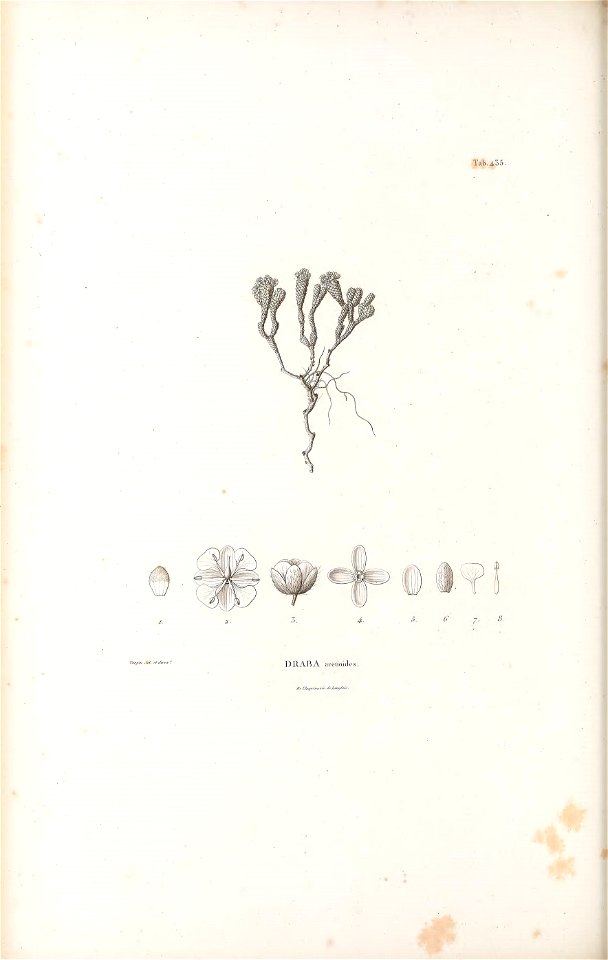 n113_w1150
