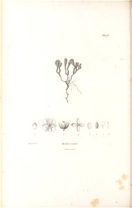 n113_w1150