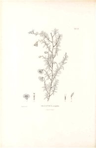 n333_w1150