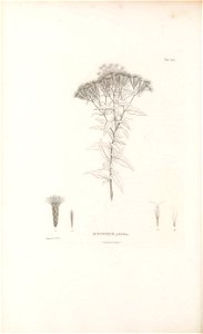 n193_w1150