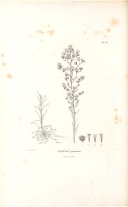 n139_w1150