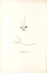 n165_w1150