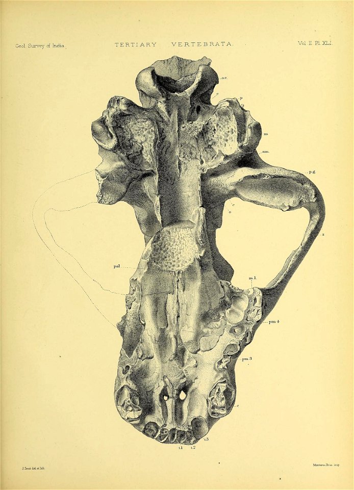 n566_w1150