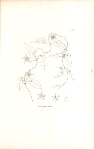 n262_w1150