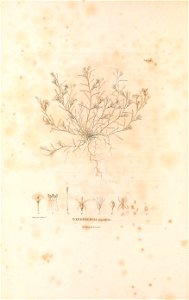 n17_w1150