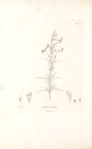 n465_w1150