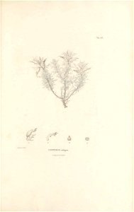 n408_w1150