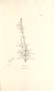 n352_w1150
