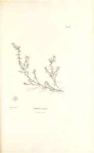 n302_w1150