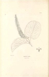 n173_w1150