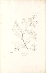 n597_w1150