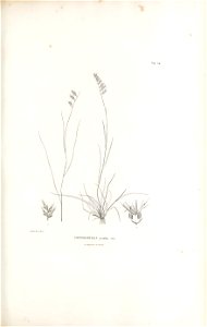 n364_w1150