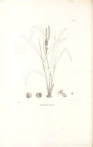 n211_w1150
