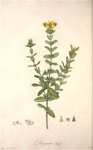 n127_w1150