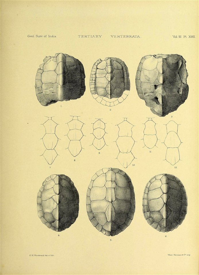 n384_w1150