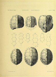 n384_w1150