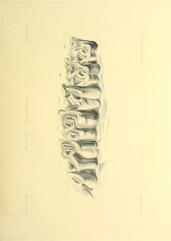 n426_w1150