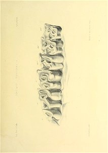 n426_w1150