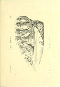 n538_w1150