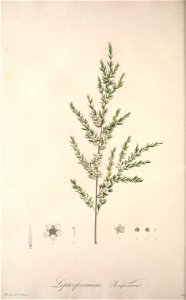n123_w1150