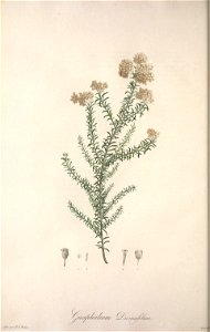 n63_w1150
