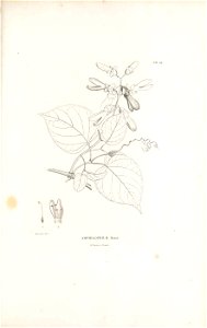 n174_w1150
