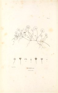 n503_w1150