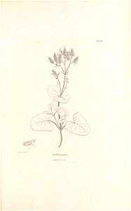 n374_w1150