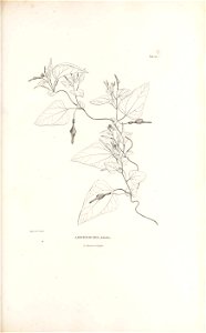 n156_w1150