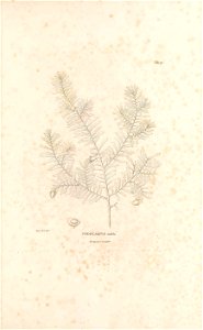 n12_w1150