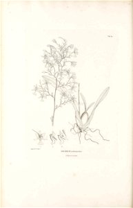 n579_w1150