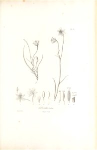 n502_w1150