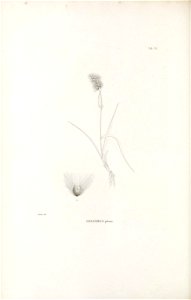 n247_w1150