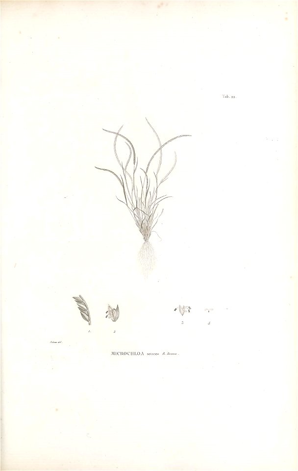 n192_w1150