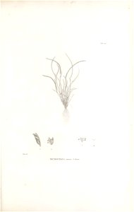 n192_w1150