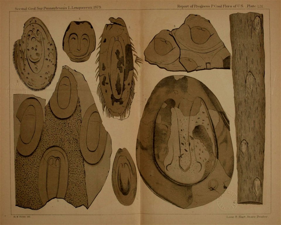 n162_w1150