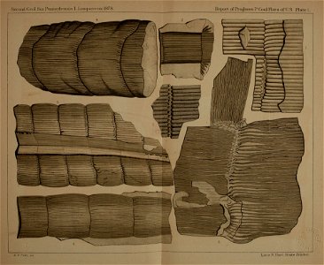 n46_w1150