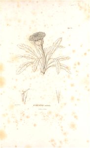 n12_w1150