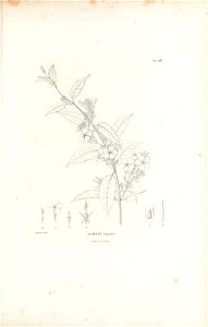 n274_w1150