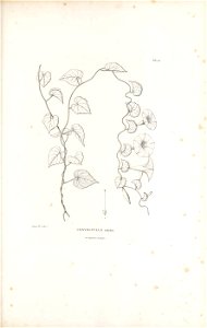 n126_w1150