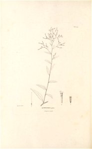 n479_w1150