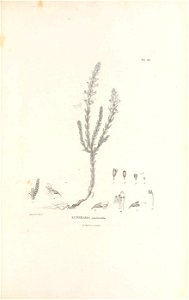 n416_w1150