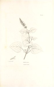 n360_w1150