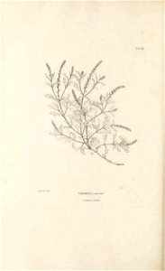 n309_w1150