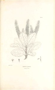 n180_w1150