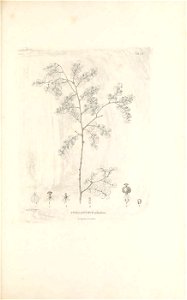 n116_w1150